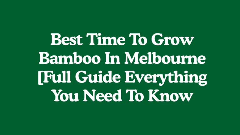 Best Time To Grow Bamboo In Melbourne